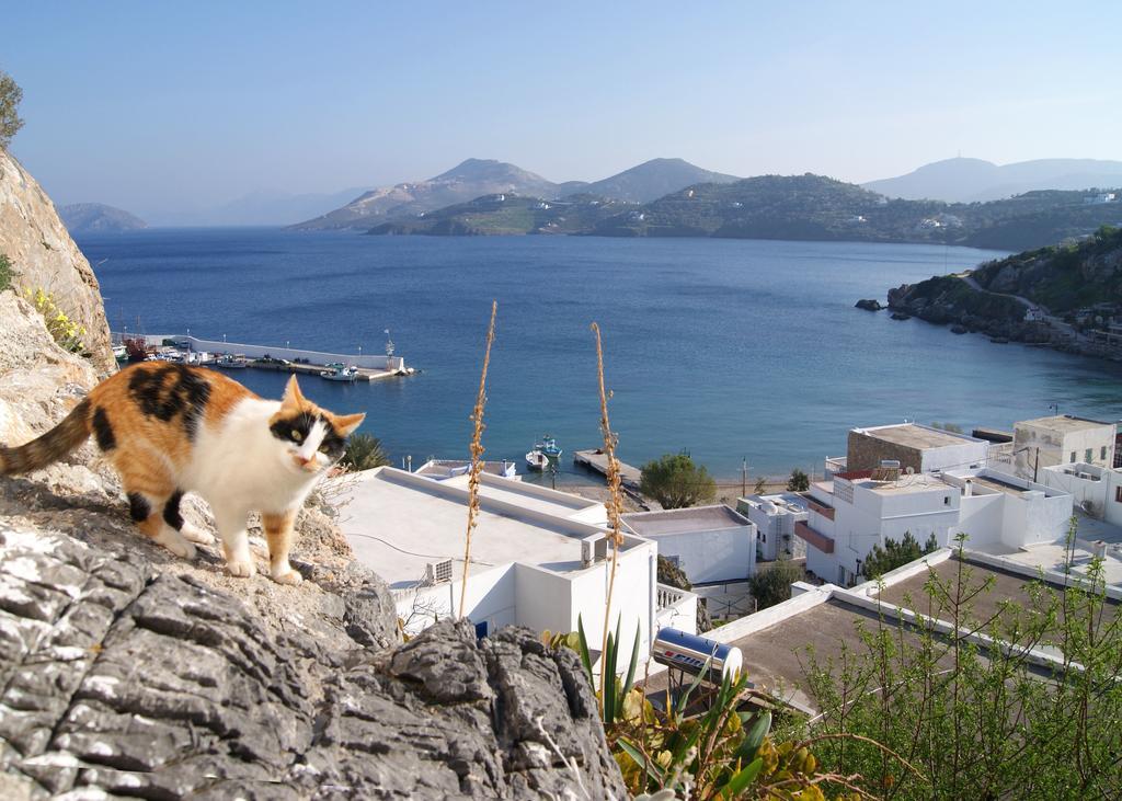 Asterias Aparthotel Panteli Buitenkant foto